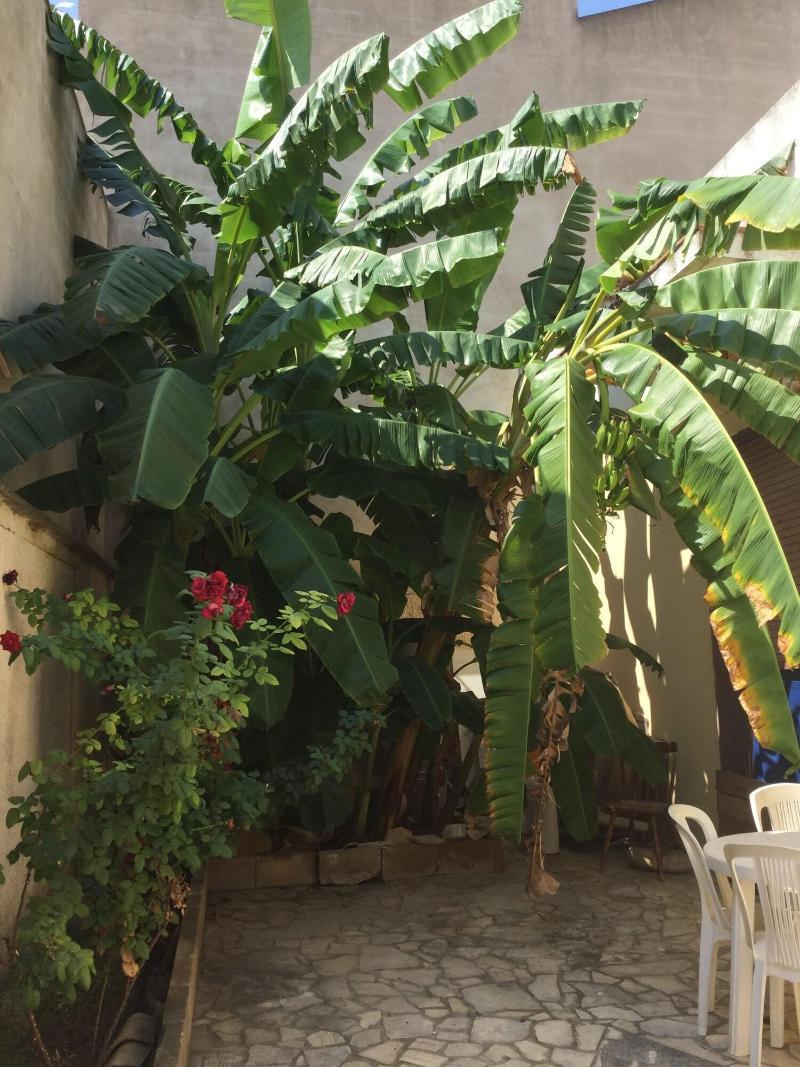 U' Iazzu Bed & Breakfast Avola Luaran gambar